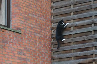 climb 1